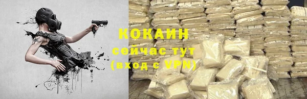 apvp Алексин