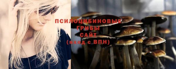 хмурый Алексеевка