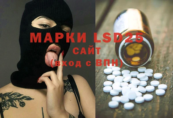 apvp Алексин
