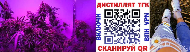 Дистиллят ТГК THC oil  где купить наркоту  Дно 